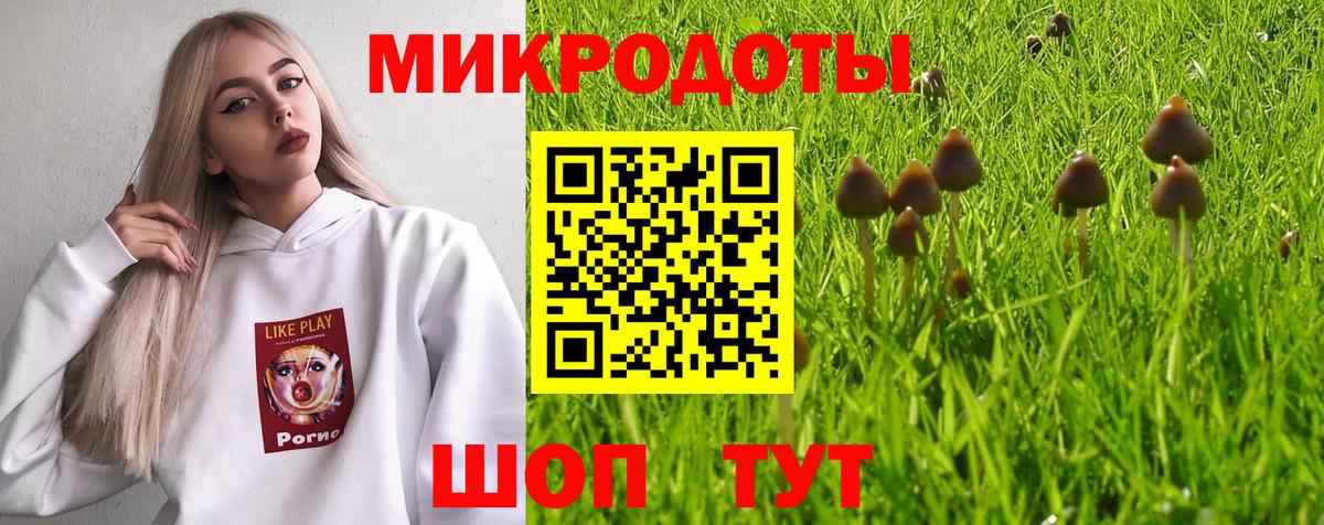 Галлюциногенные грибы Psilocybe  Галлюциногенные грибы MAGIC MUSHROOMS  Вход с VPN  Котельники 