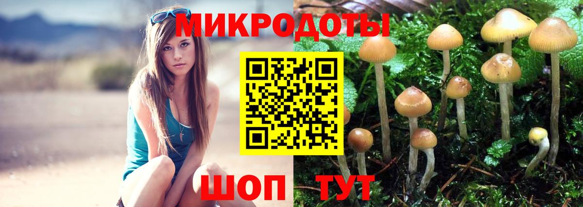 Галлюциногенные грибы прущие грибы Котельники